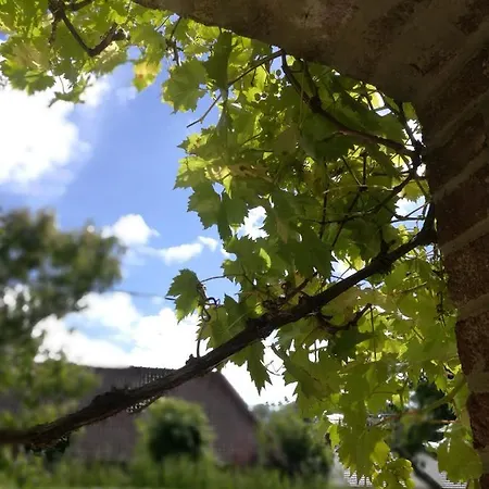 Carlotta - Sea Hotel *