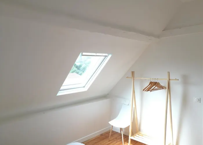 Carlotta - Sea Hotel